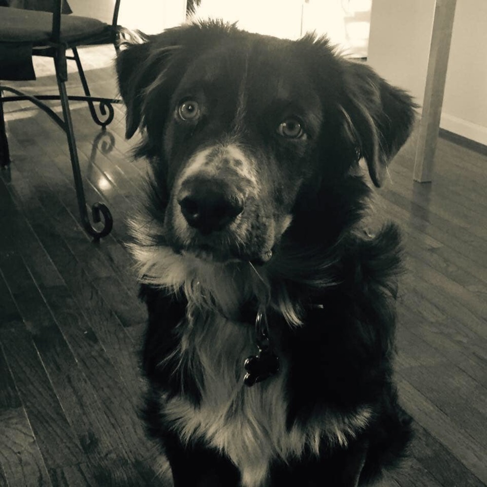 Meet your Posher, Jenn